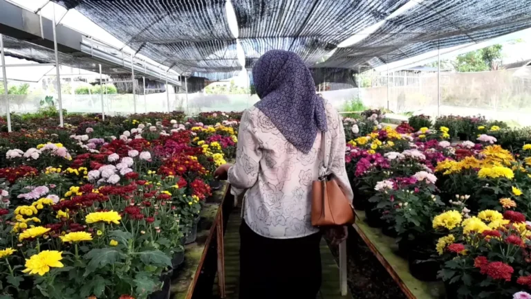 Kedai Bunga di Kota Bharu: Inspirasi Bunga Segar & Kreativiti Gubahan dalam Sentuhan Tradisi Tempatan.