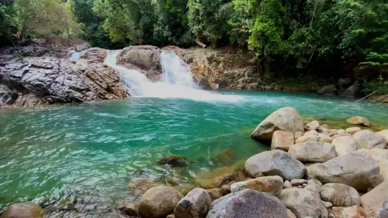 Lata Kolam Air Deru Ecopark menawarkan pengalaman alam yang menakjubkan dengan pelbagai aktiviti dan kemudahan rekreasi.