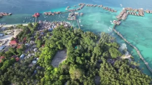 Panduan untuk pengembara solo di Borneo: Petualangan Sendirian dengan Selamat dan Berdaya, Menggali Keharmonian Alam dan Budaya