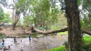 Sungai Congkak: Destinasi Rekreasi yang Menyegarkan