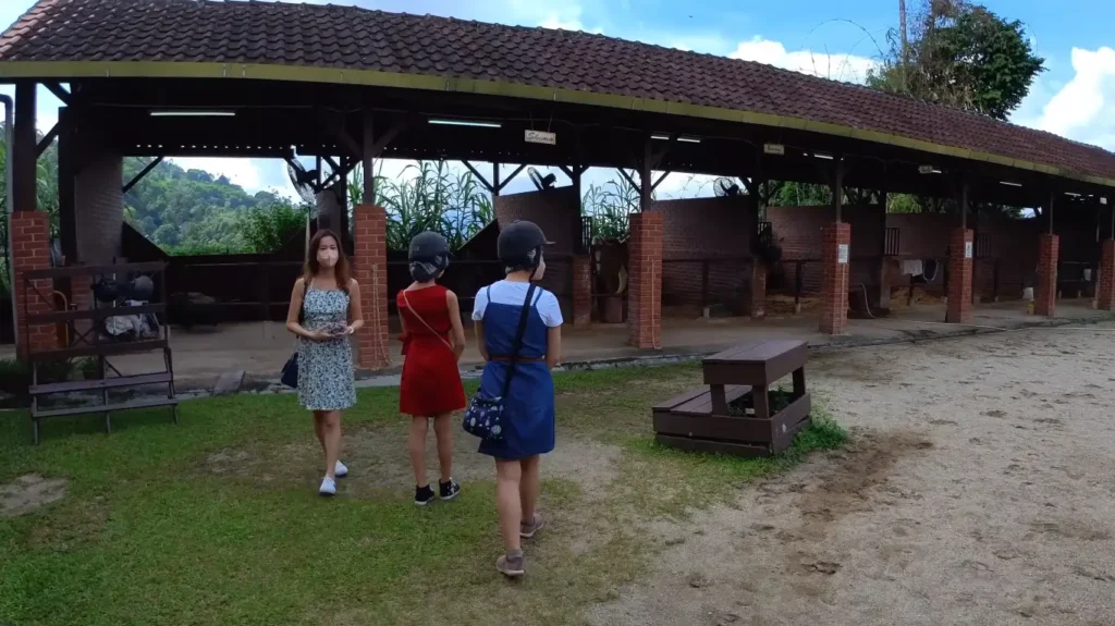 Nikmati pengalaman menunggang kuda di Horse Trails Bukit Tinggi. Keindahan alam semula jadi dan peluang untuk bersantai di tengah-tengah keindahan.