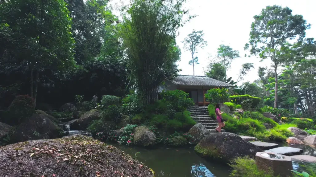 Japanese Tea House: Keanggunan Tradisi Minum Teh Jepun. Rasai kedamaian dan kecantikan seni bina tradisional, sambil menyertai Tea Ceremony yang menenangkan.