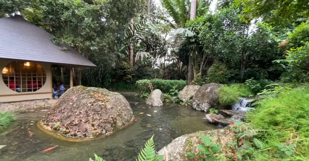 Jap Village, Bukit Tinggi: Pengalaman Budaya Jepun Autentik, Lanskap Menakjubkan, Kimono Sewa, dan Atmosfera Damai!