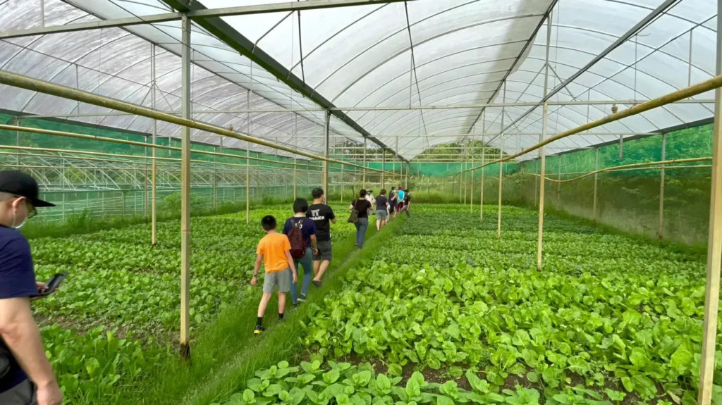 LadyBird Organic Farm: Melihat Dunia Organik di Semenyih, Selangor yang Menghijau dan Berkembang Biak.
