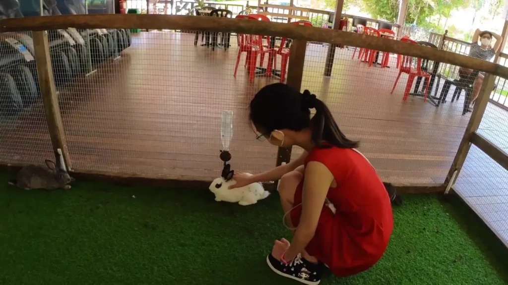 Rabbit Park: Tempat Seronok untuk Keluarga. Jumpa dan main dengan arnab comel serta aktiviti menarik untuk anak-anak.