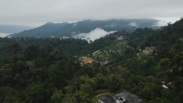 Pesona Alam Semula Jadi: Berlibur di Resort Janda Baik yang Menakjubkan